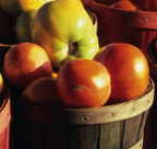 Register for the Big Tomatoes Cooking Demo!